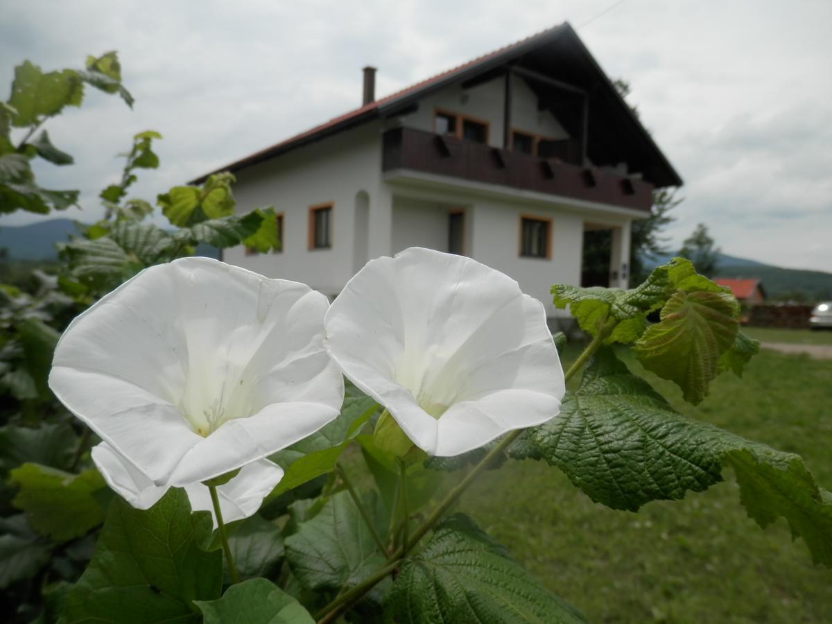 Guesthouse Matija 아리리노빅 외부 사진